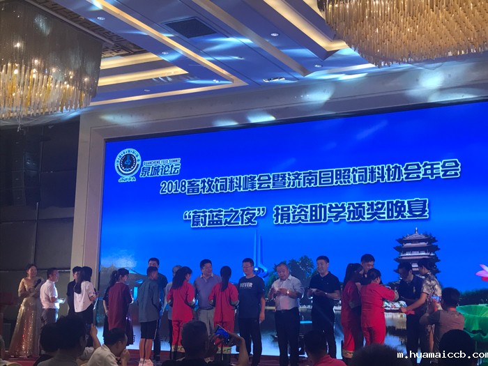 2026世界杯资格赛 2026世界杯资格赛