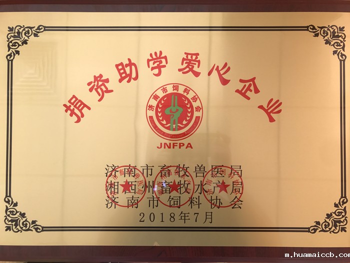 2026世界杯资格赛 2026世界杯资格赛