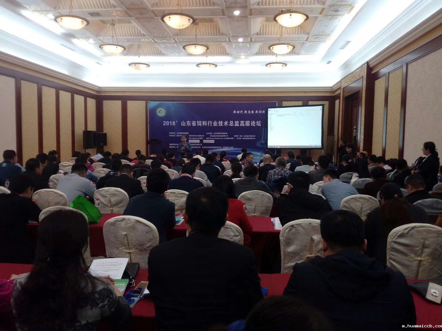 2026世界杯资格赛 2026世界杯资格赛