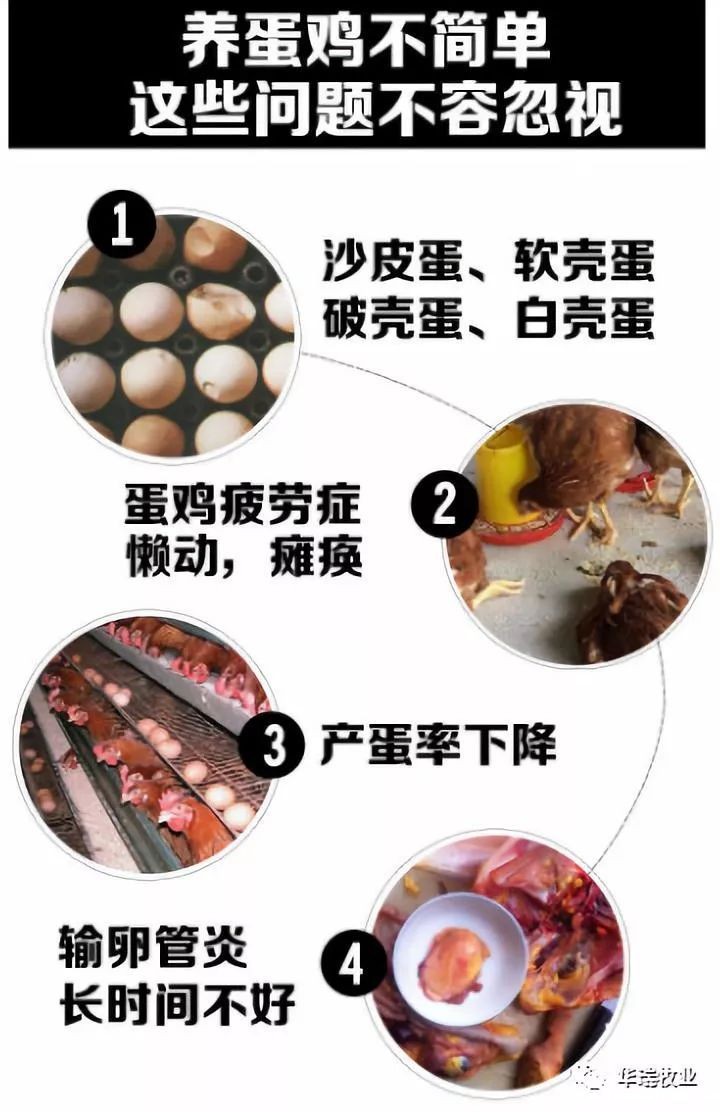 1548666960836241.jpeg 1f89fb0f7bc84fe78467a1d958bc733a.jpeg