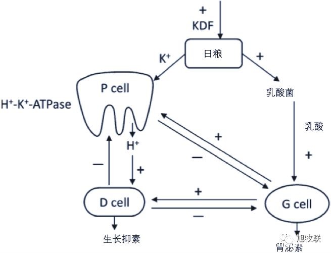 1557979171441911.jpg 微信图片_20190516115807.jpg