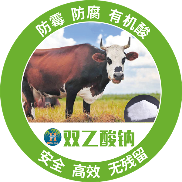 1558425917413001.png 10_副本.png