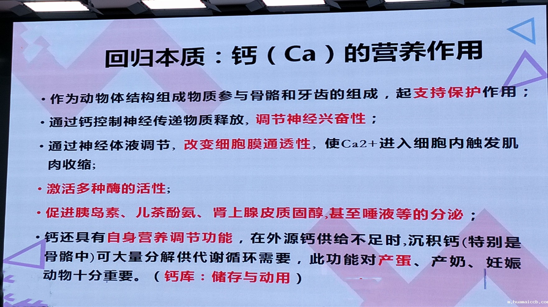 1562915047868802.jpg 微信图片_20190712090903.jpg
