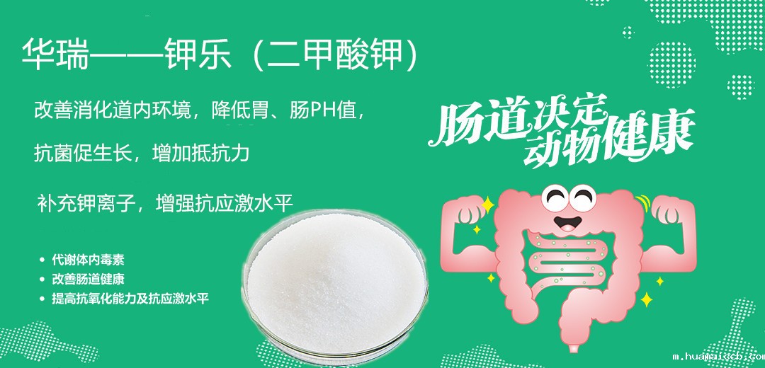 1564020171311898.jpg 微信图片_20190719141405.jpg