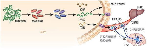 1564020208889257.png 微信图片_20190725091127.png