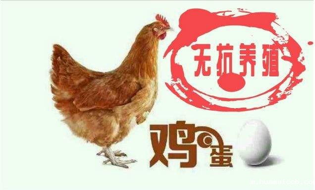 1565923538585064.jpg timg.jpg