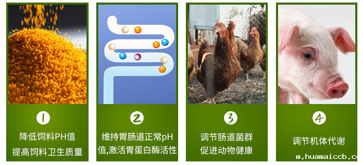 1594347365923650.png 微信图片_20200506134951.png