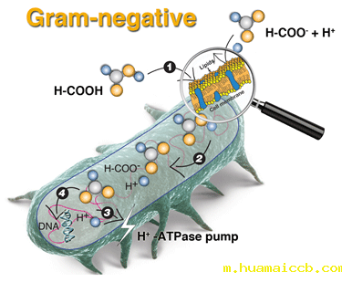 1596421565891450.gif 1537929004927922.gif