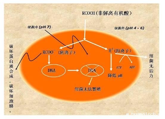 1596421611662959.jpg u=2027643348,2960621283&fm=214&gp=0.jpg