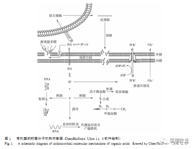 1624416299967743.png 微信图片_20210623104424.png