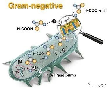 1655537260926249.jpg 1.jpg