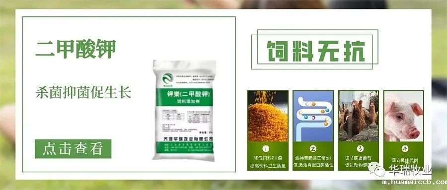 1655537270941756.jpg 2.jpg