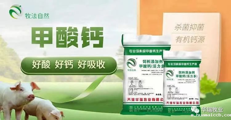 1655538973359341.jpg 3.jpg