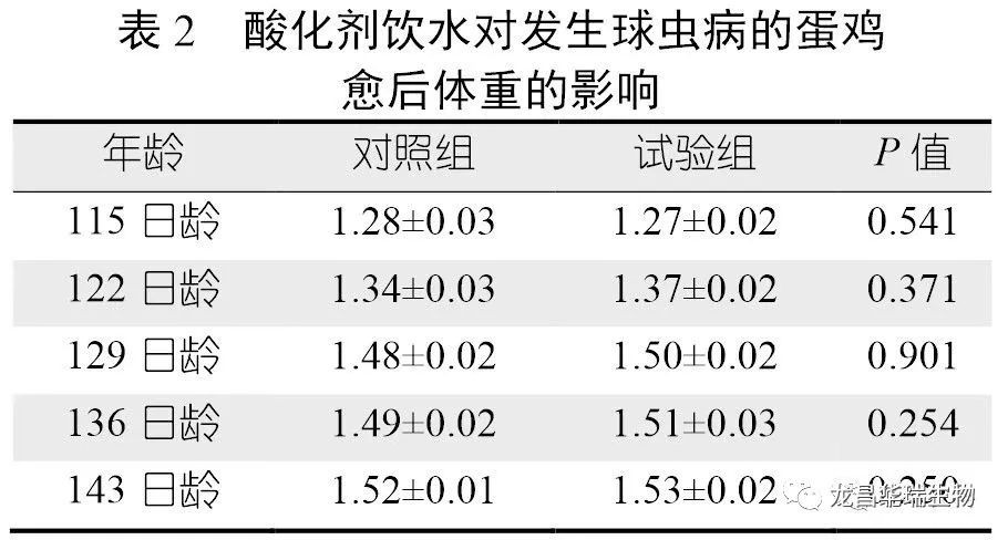 1670919557925853.jpg 1.jpg