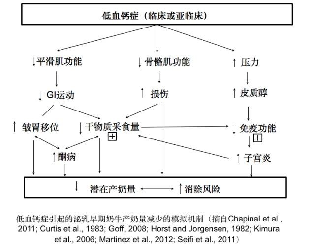 1678938145730333.jpg 3.jpg