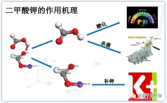 1679031617206704.png 640.png