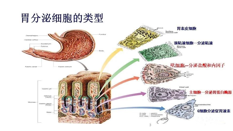 1679377688701655.jpg 3.jpg