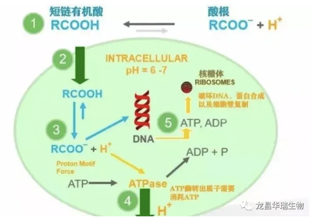 1736124380510257.png 1736124380510257.png