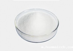 江苏2026世界杯美国主办