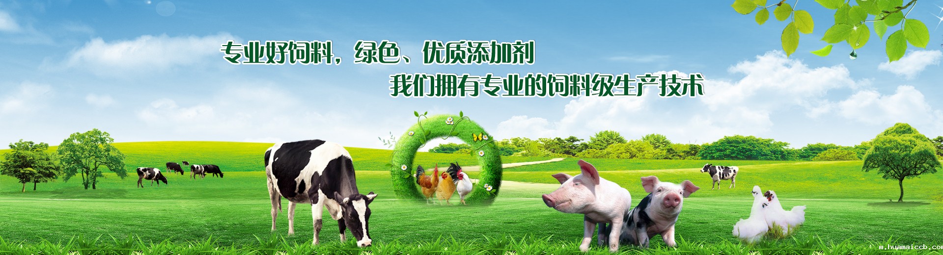 饲料级双乙酸钠 饲料级双乙酸钠