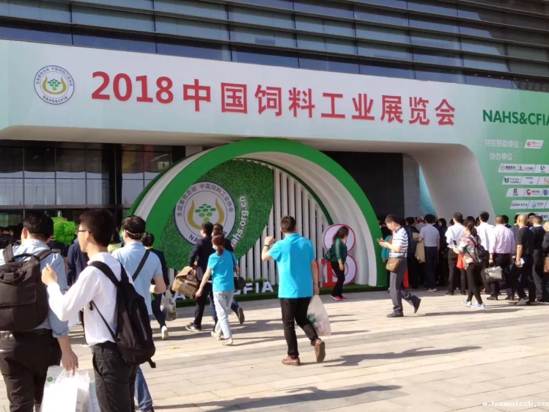 2026世界杯资格赛