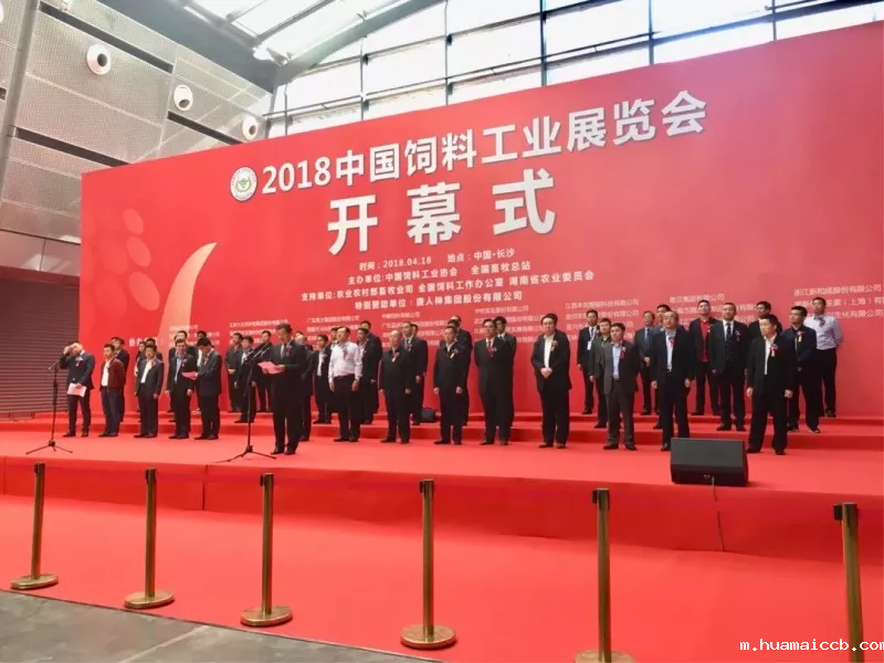 2026世界杯资格赛