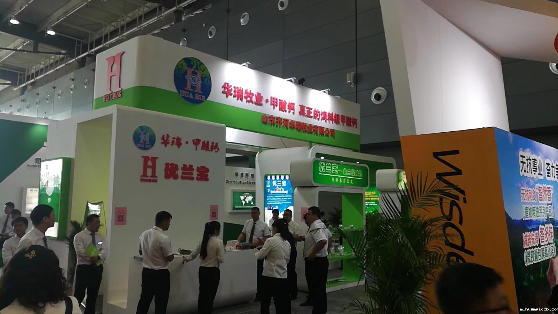 2026世界杯资格赛