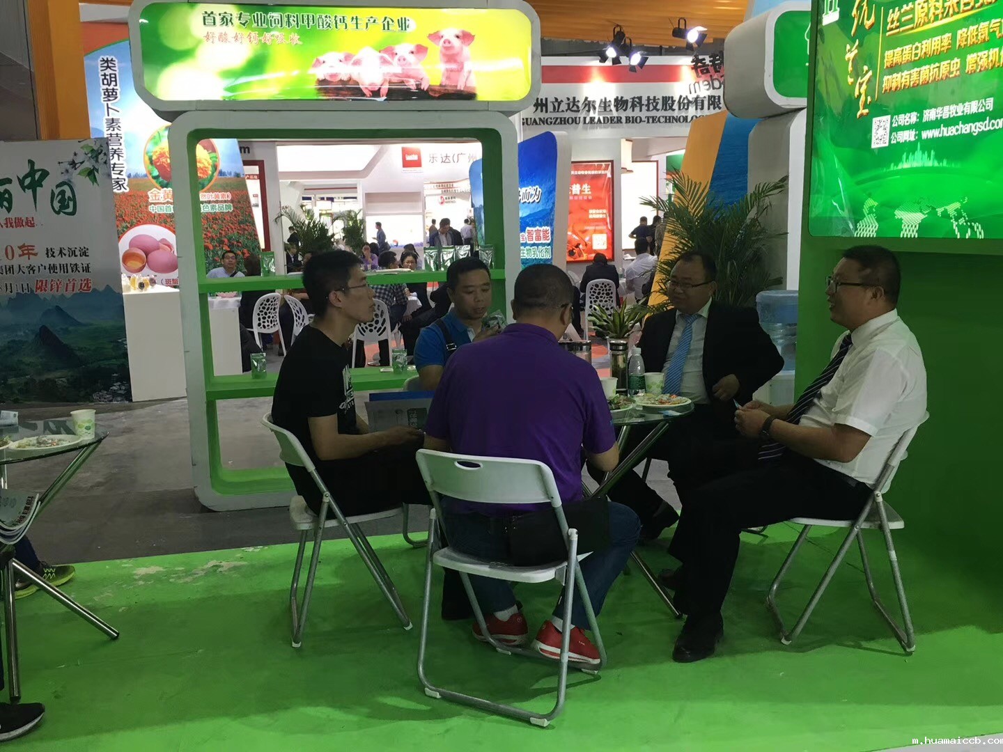 2026世界杯资格赛