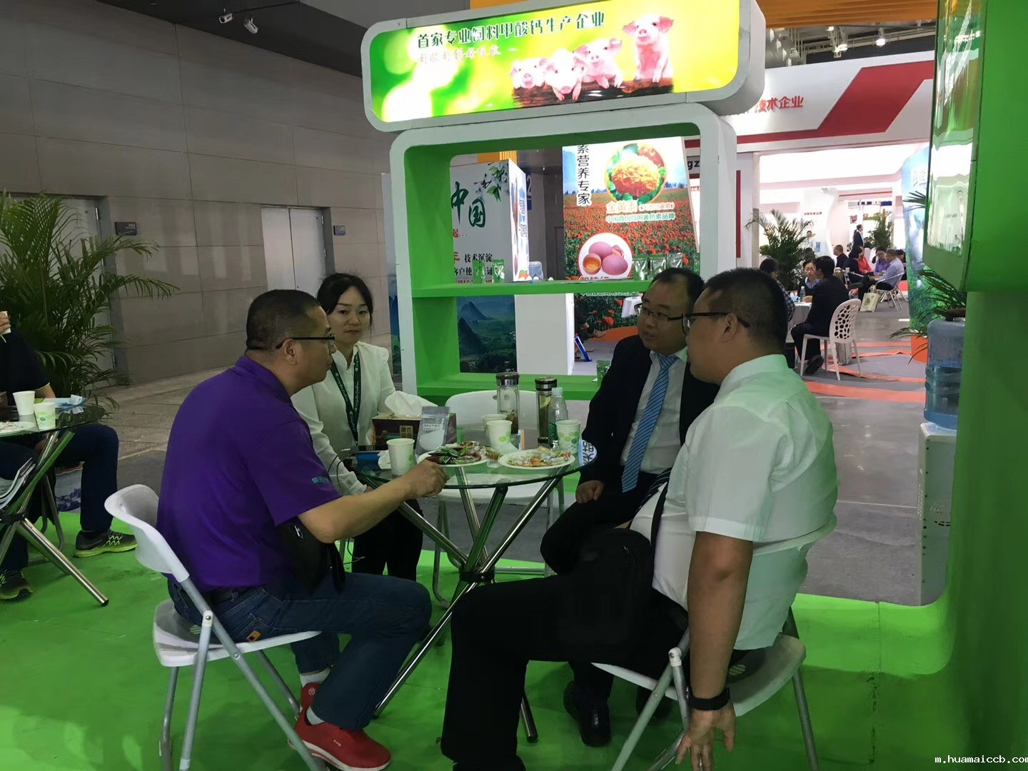 2026世界杯资格赛