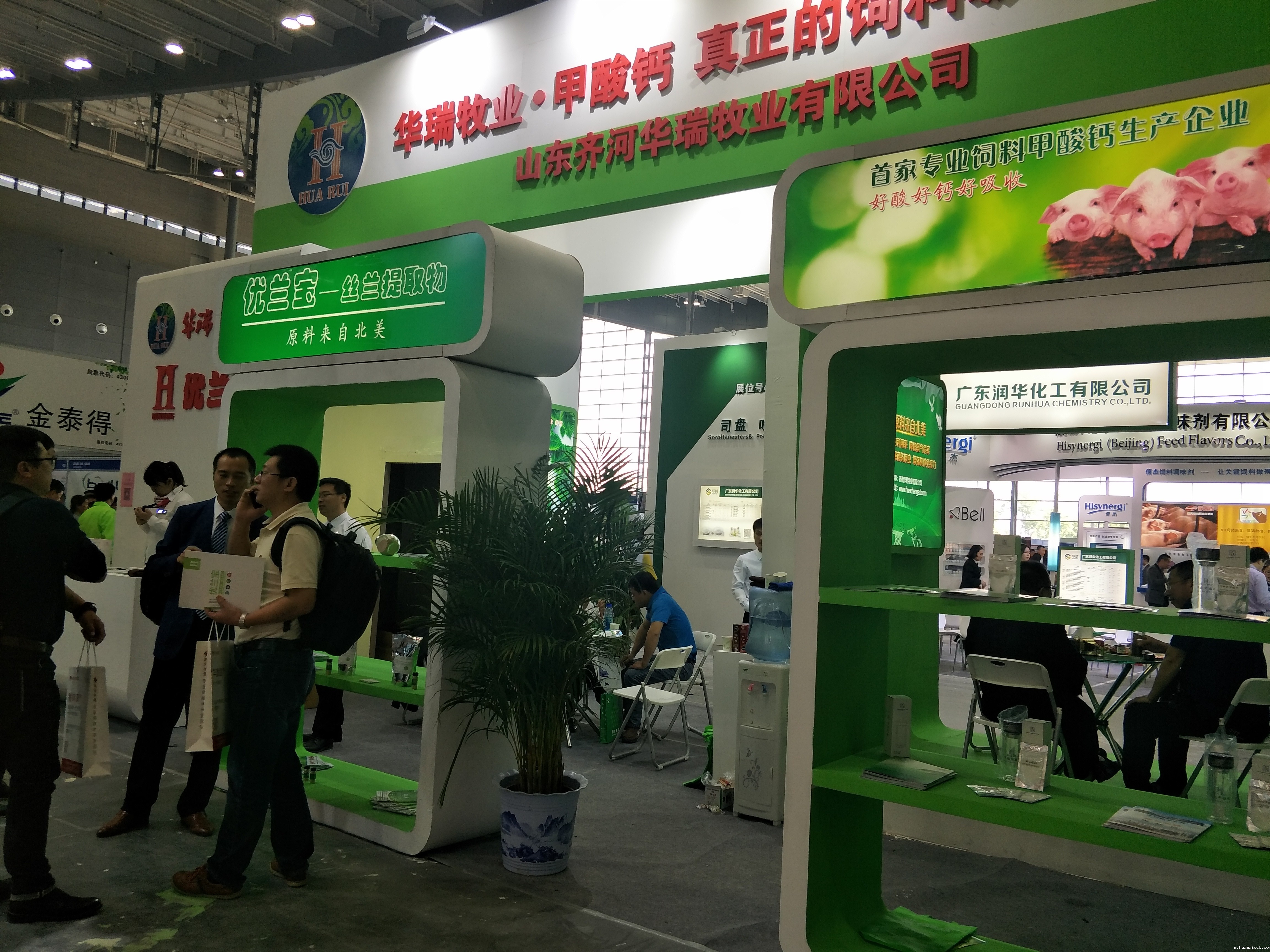 2026世界杯资格赛